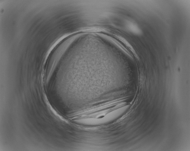 X0000081461484200702021755