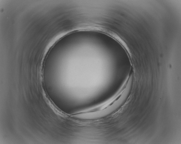 X0000081461485200702021755