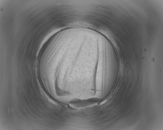 X0000081461486200702021755