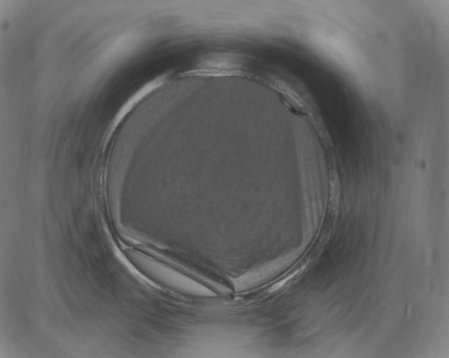 X0000081461487200702021755