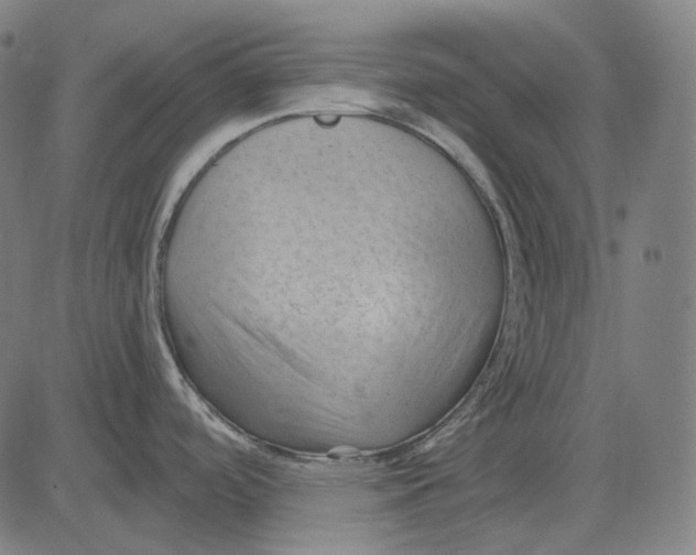 X0000081461488200702021755