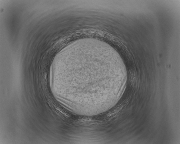 X0000081461489200702021754