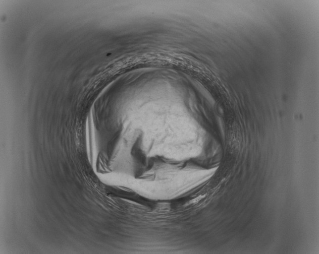 X0000081461490200702021754