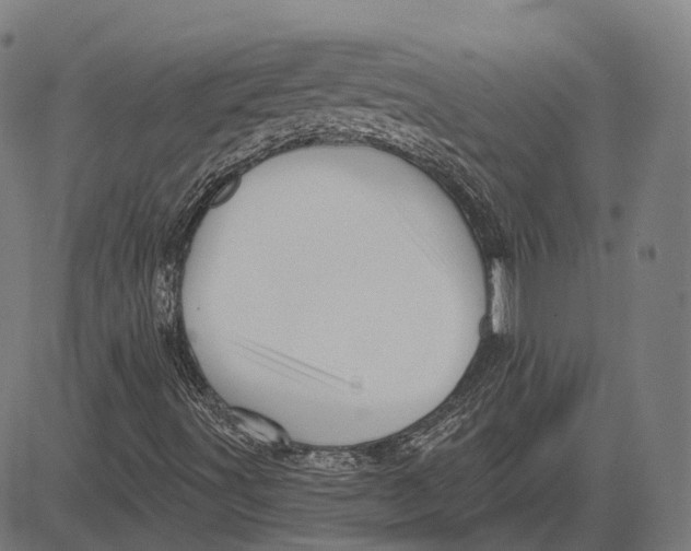 X0000081461491200702021754