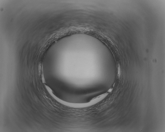 X0000081461492200702021754