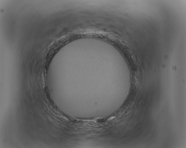 X0000081461493200702021754