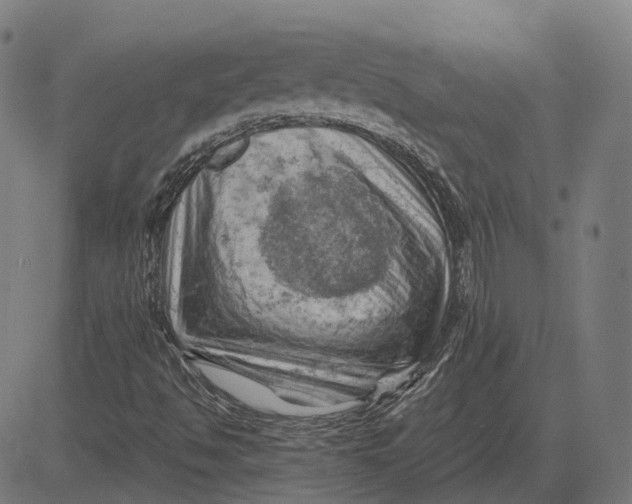 X0000081461494200702021754