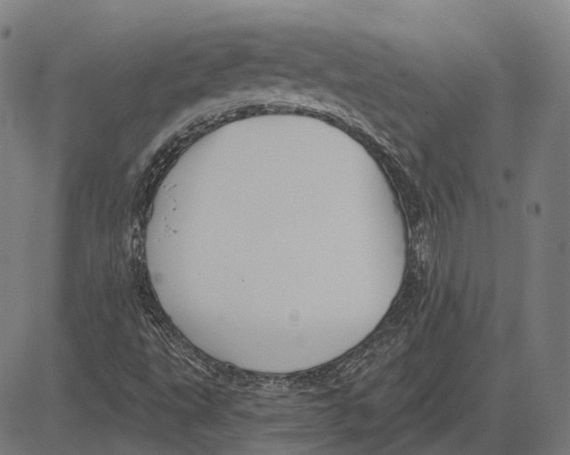 X0000081461495200702021754