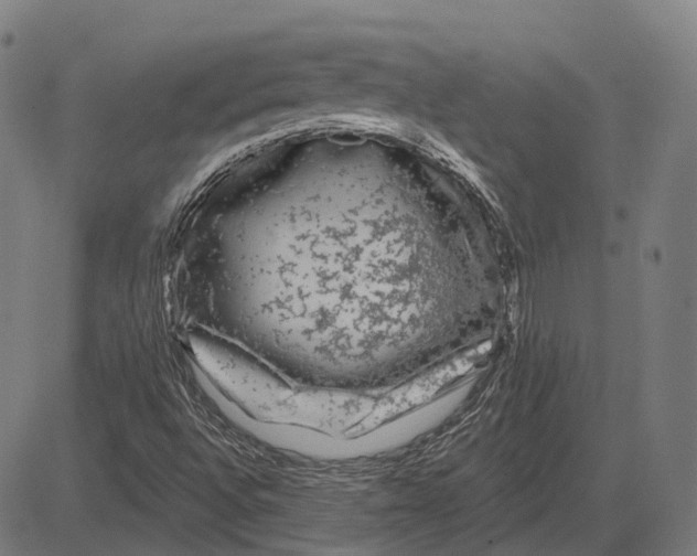 X0000081461496200702021754