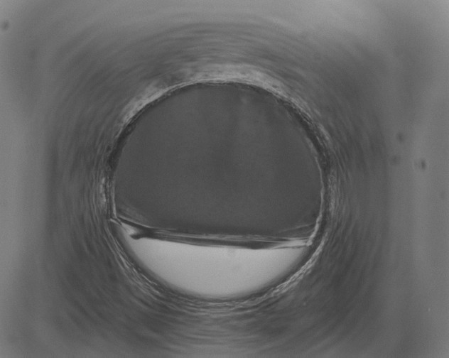 X0000081461497200702021754