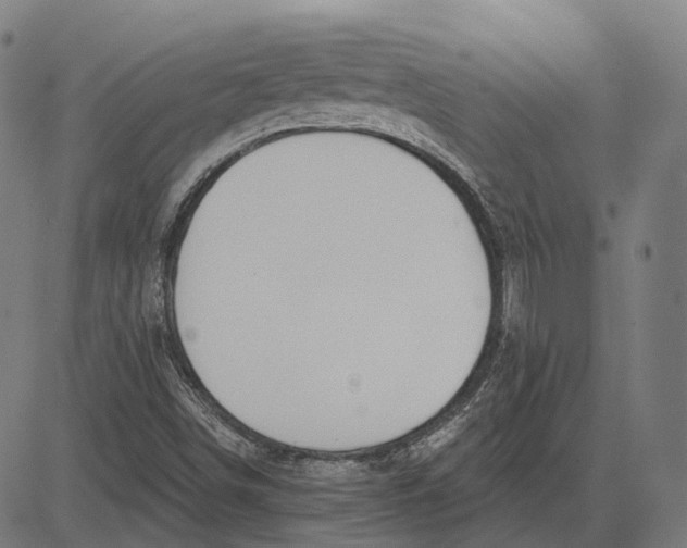 X0000081461498200702021754