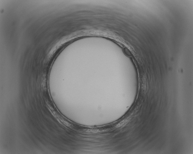 X0000081461499200702021754