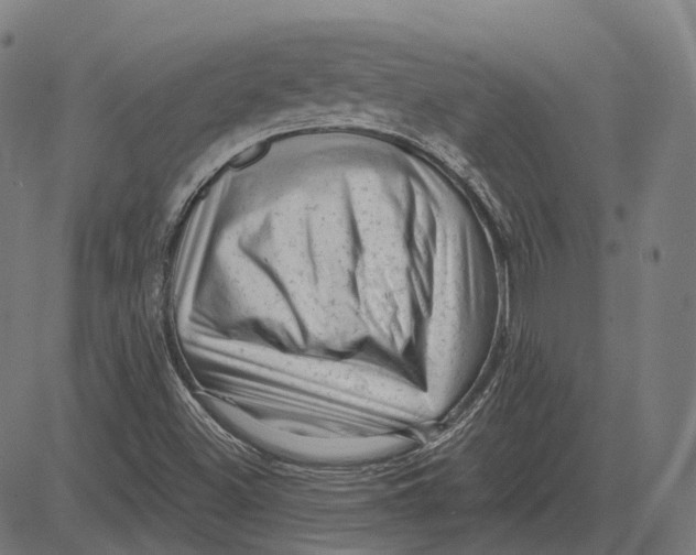 X0000081461500200702021754