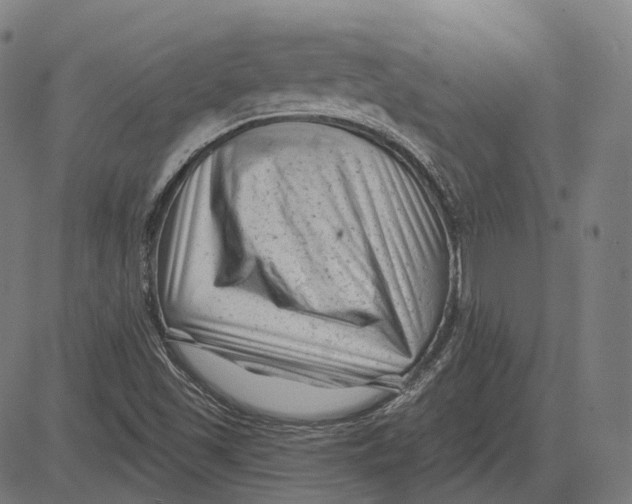 X0000081461501200702021754