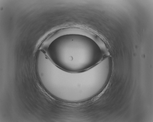 X0000081461502200702021754