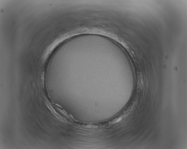 X0000081461503200702021754