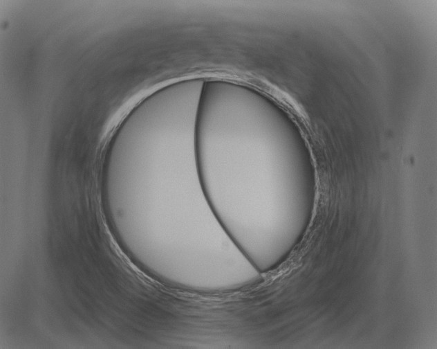 X0000081461504200702021754