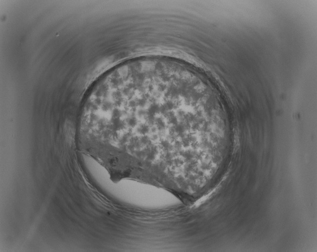 X0000081461505200702021754