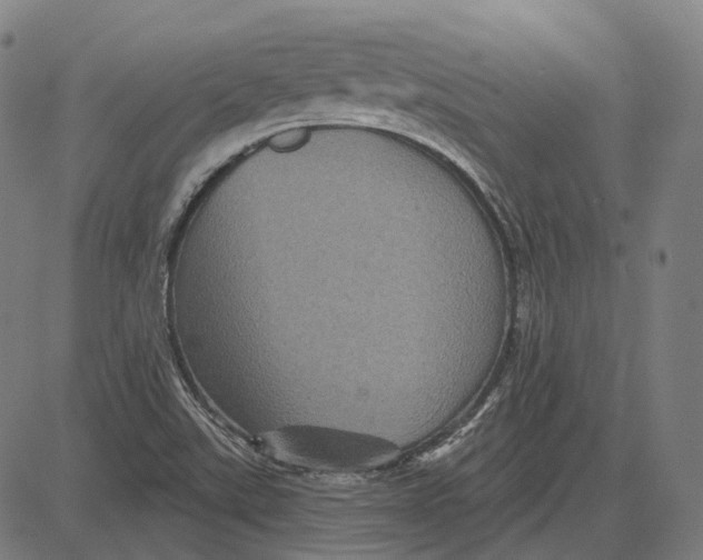 X0000081461507200702021754