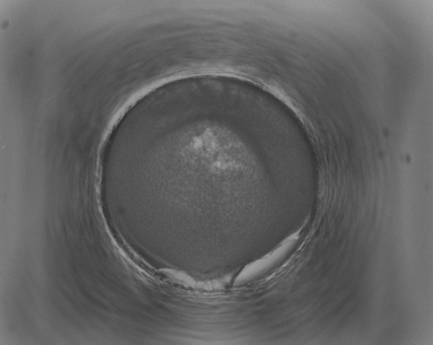 X0000081461508200702021754