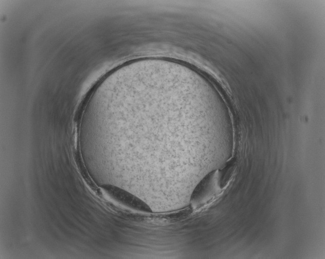 X0000081461509200702021754