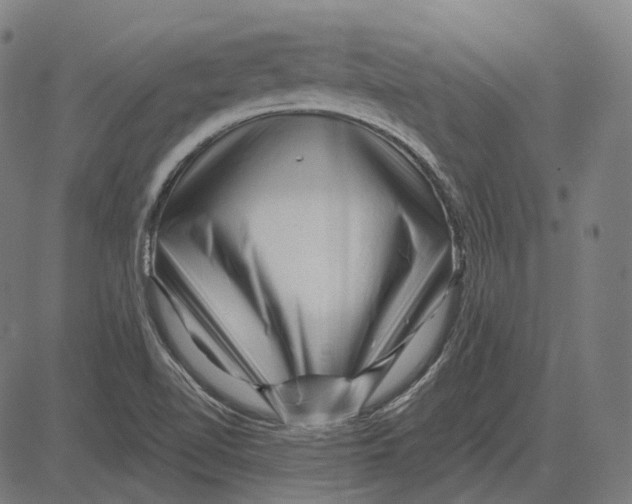 X0000081461510200702021754