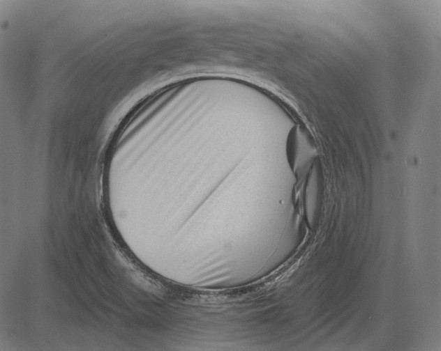 X0000081461511200702021754