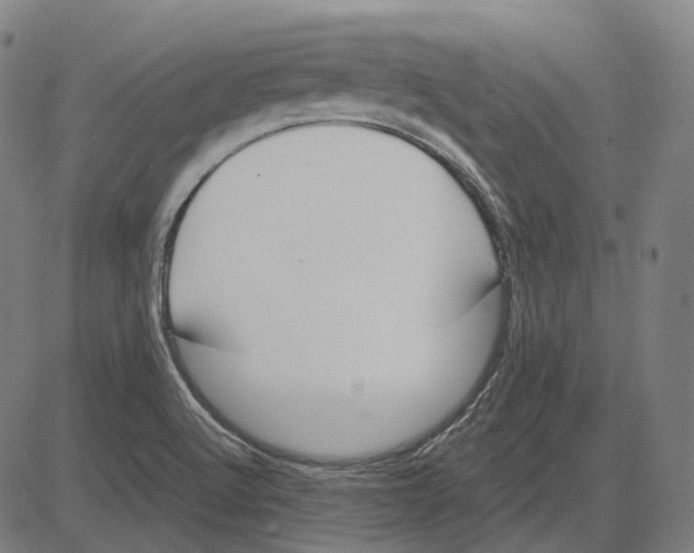 X0000081461512200702021754