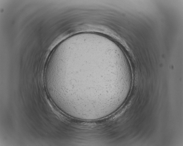 X0000081461513200702021754