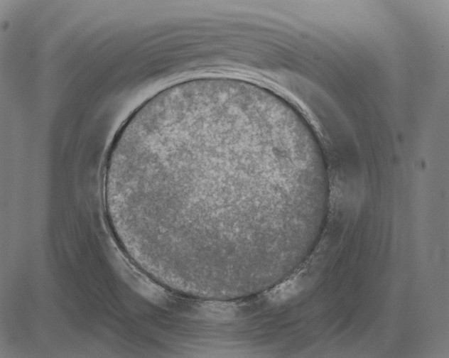 X0000081461514200702021754