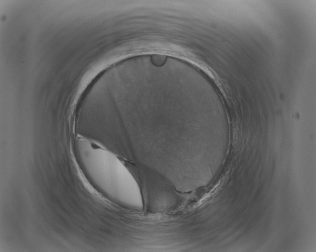 X0000081461515200702021754