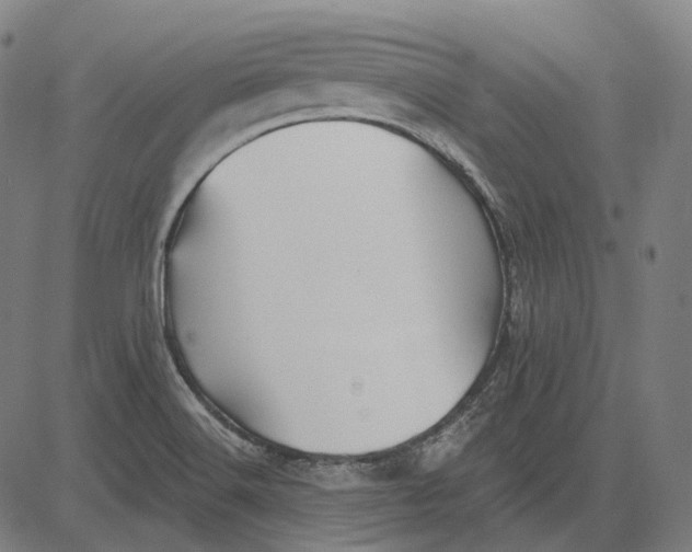 X0000081461516200702021754