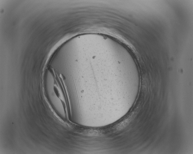 X0000081461517200702021754