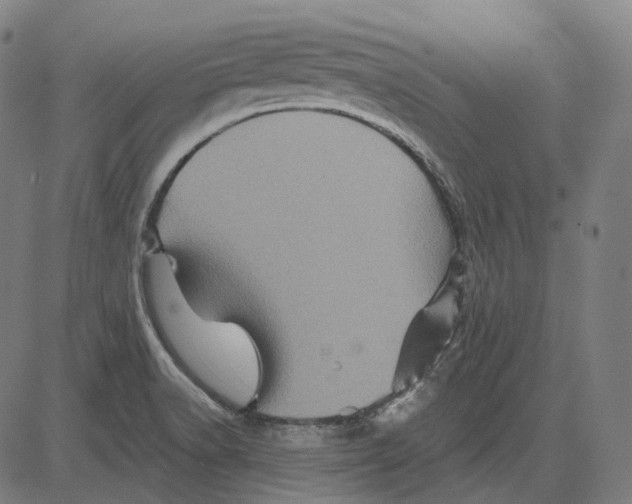 X0000081461518200702021754