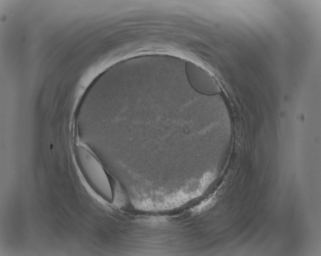 X0000081461519200702021754