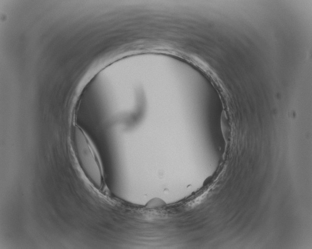 X0000081461520200702021754