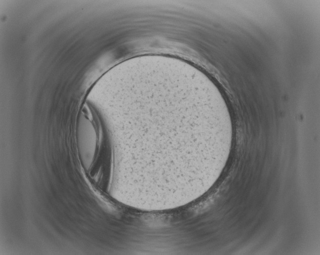 X0000081461521200702021754