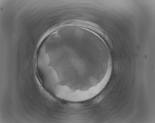 X0000081461522200702021754