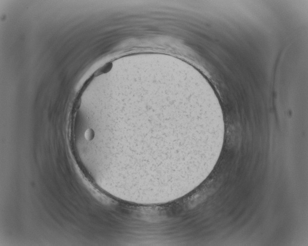 X0000081461523200702021754