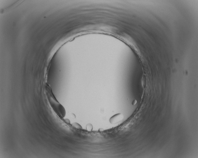 X0000081461524200702021754