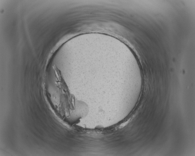 X0000081461525200702021754