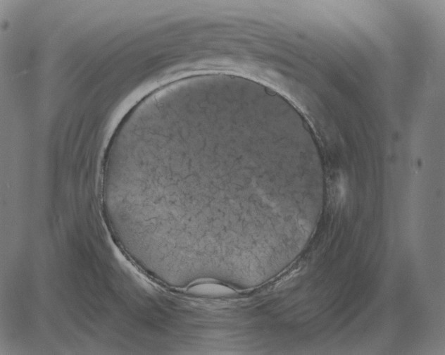 X0000081461527200702021754