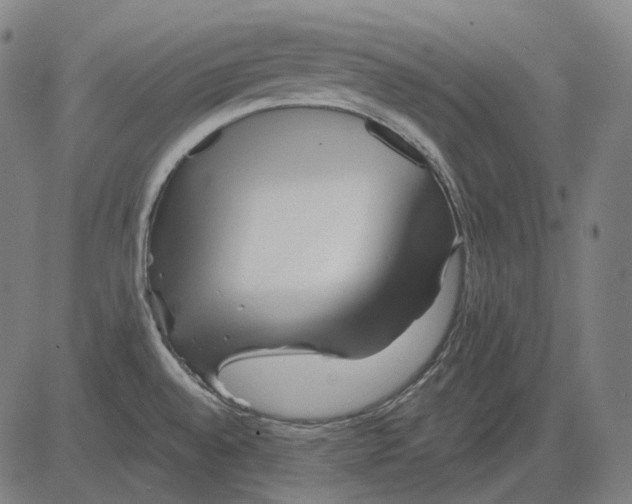 X0000081461528200702021755