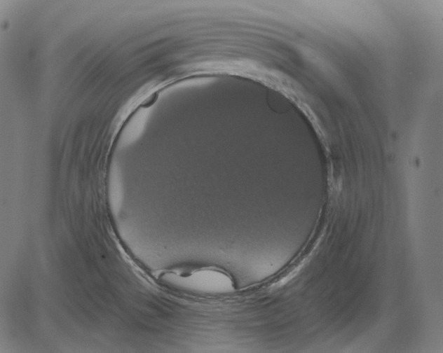 X0000081461529200702021755