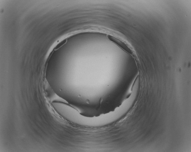 X0000081461530200702021755