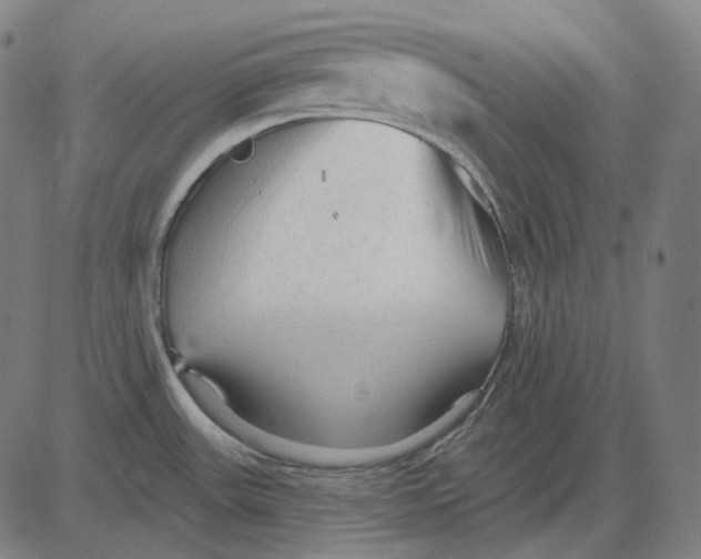 X0000081461531200702021755