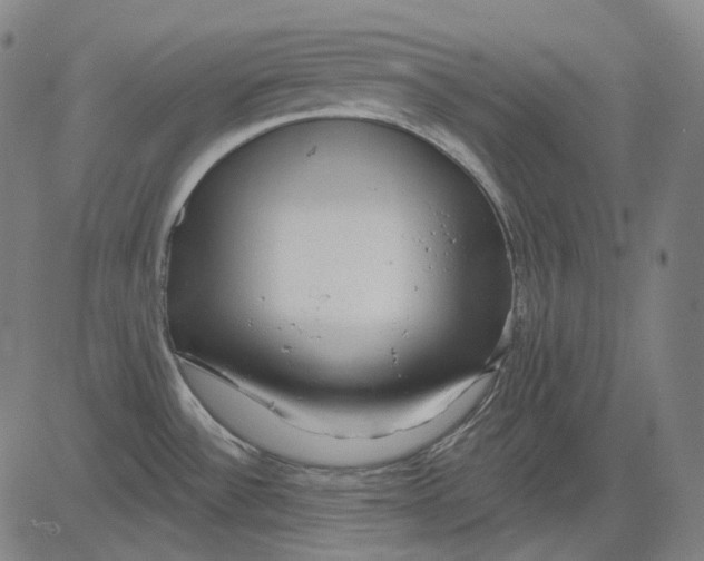 X0000081461532200702021755