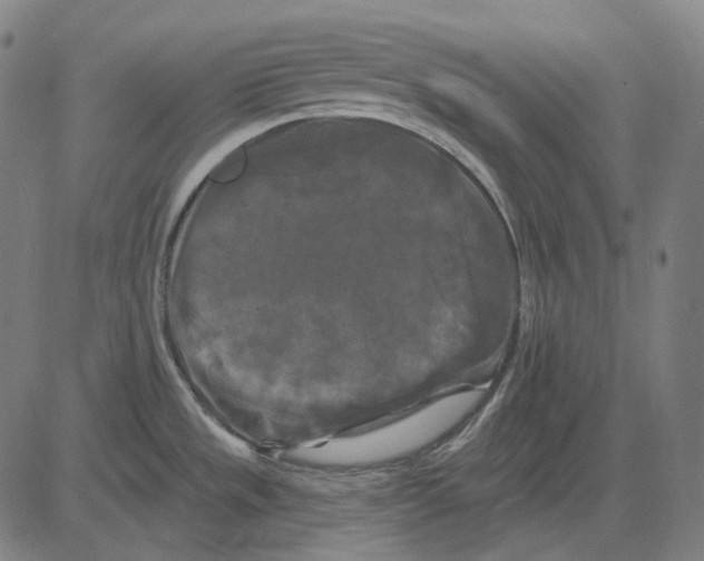 X0000081461533200702021755