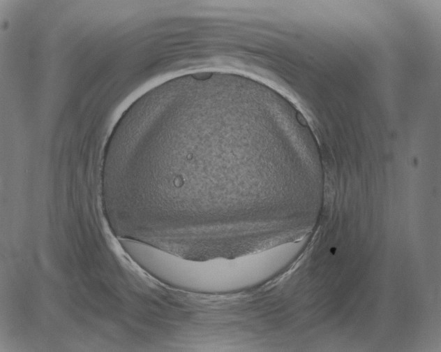 X0000081461534200702021755