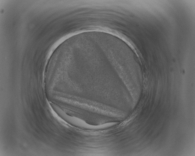 X0000081461535200702021755